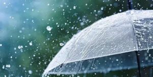 02c5fcab 8f03 40a8 9196 31df675e6567