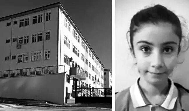 1824b337 3bf4 4c7c 82f8 cde93a59e57b