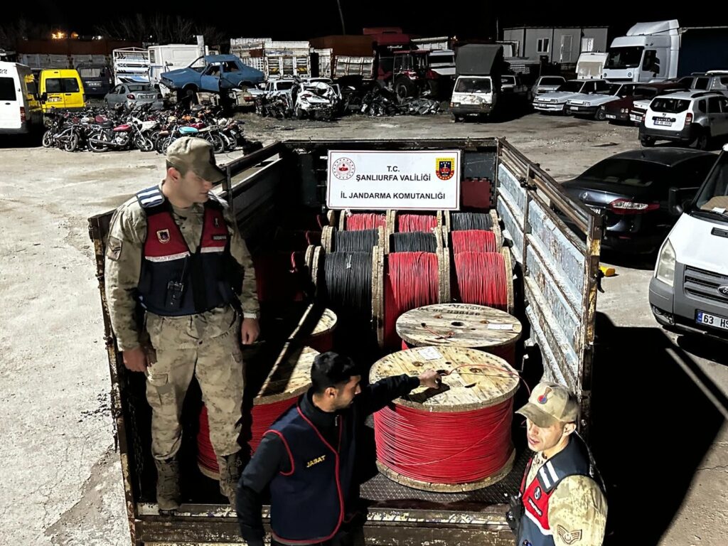 1cb8cb24 19a1 4028 905e 1cc19ede7368