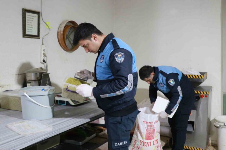 20250301aw403198 0 scaled