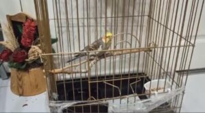 4213f69e 79cf 4b99 b700 58d1f637dce6