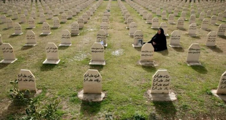 83d58e4b f357 4c16 83f9 6a9ae7cb6762