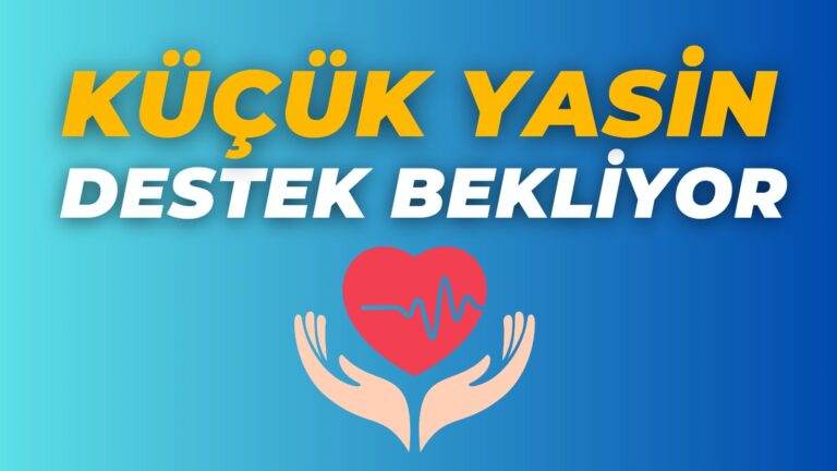 83ec3e73 e6e5 40ea bf53 dc7a7617cea1