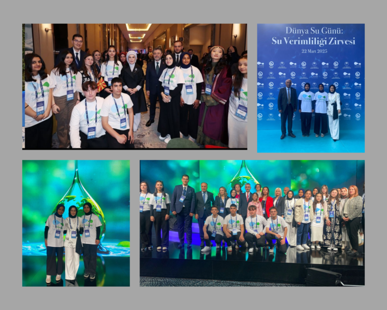 Blank 4 Panel Comic Strip 1