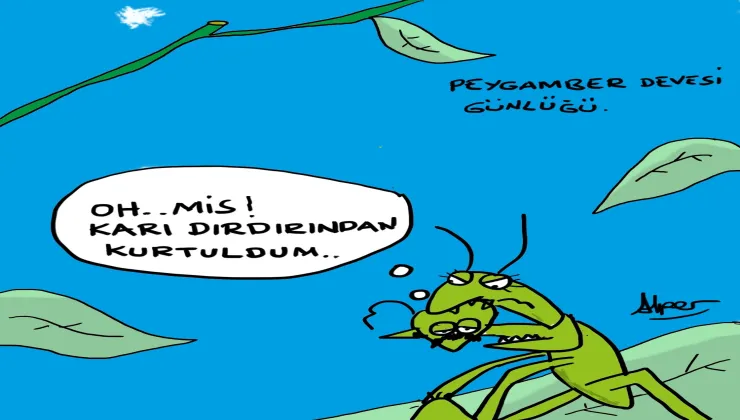 432e1d00 a73a 4d18 96f4 23d1ec2a2896