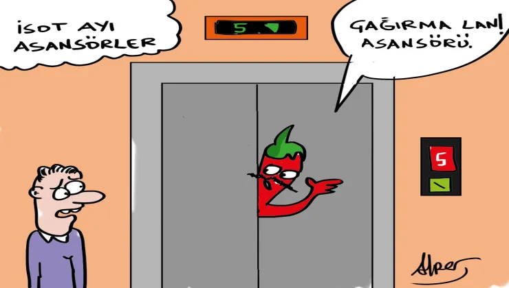 aa555cba 9569 46e3 8d35 52c3cb380055