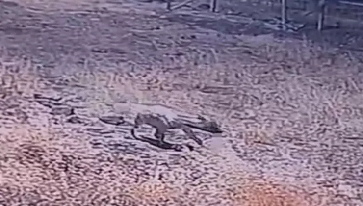 Screenshot 20251005 145601 WhatsApp