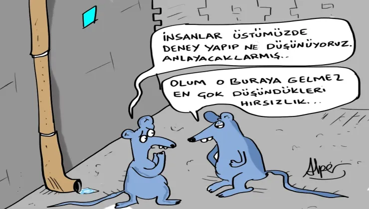 cedcb5ab b369 47d4 8d61 e26004cc039f