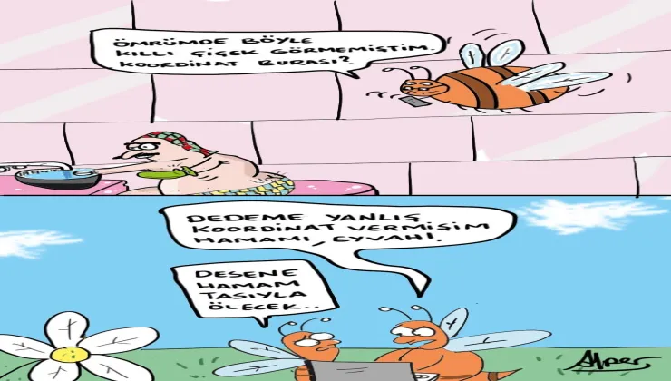 48c336d8 7992 4b19 8490 492524f2fdb0