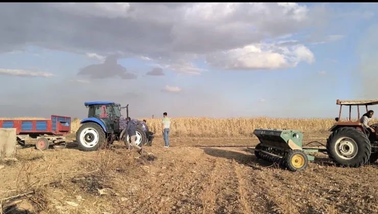 SURUÇ OVASI’NDA ÜRÜN DESENİ DEĞİŞTİ; KURAKLIK ÇİFTÇİYİ ZORA SOKTU