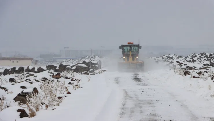 00f20691 d9a1 4a86 97f6 0b8ea9aa1693