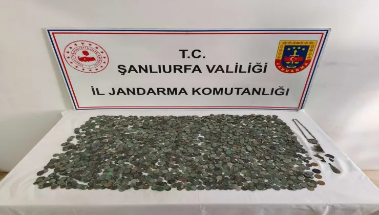 CEYLANPINAR’DA ÇOK SAYIDA GÜMÜŞ VE BRONZ SİKKE ELE GEÇİRİLDİ