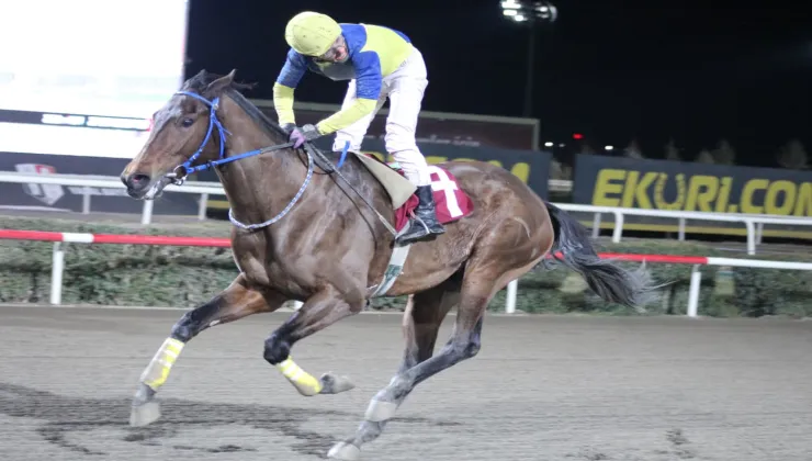 HARRAN BELEDİYESİ KOŞUSU’NU PİRATE OF THE SEA KAZANDI