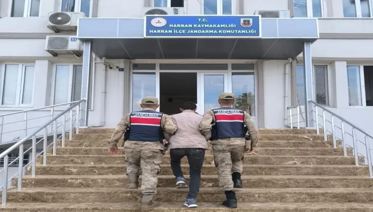 Harran’da 30 Bin TL’lik Hırsızlık Aydınlatıldı