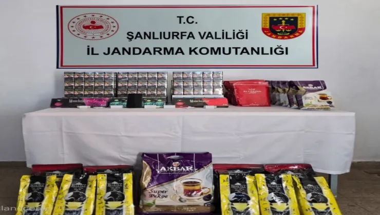 8e9f99f1 01ae 44d4 b1b3 dd10e1090b64