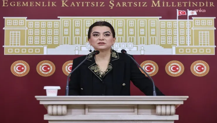 Koçyiğit: Mürşitpınar sınır kapısı açılsın, yardımlar Kobani’ye ulaşsın