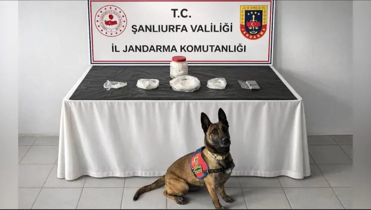 BİRECİK’TE UYUŞTURUCU OPERASYONU