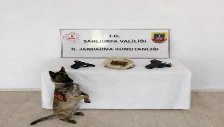 JANDARM VE POLİSTEN UYUŞTURUCU OPERASYONU