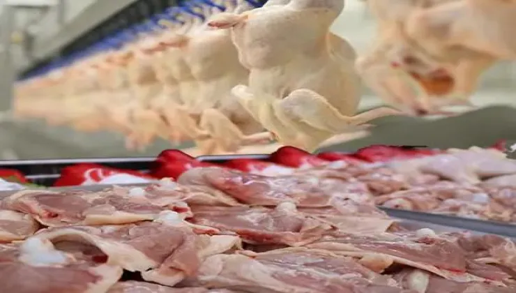 Tavuğa Ramazan öncesi zam kararı. Ticaret Bakanlığı ihracatı durdurulacak