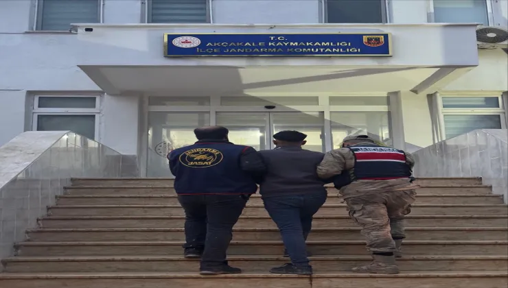 Jandarma’dan Dolandırıcılık Operasyonu