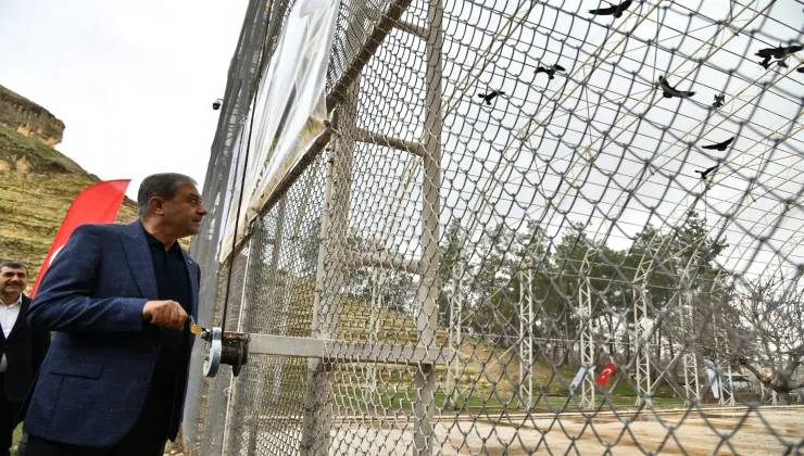 KELAYNAKLAR DOĞAYA SALINDI